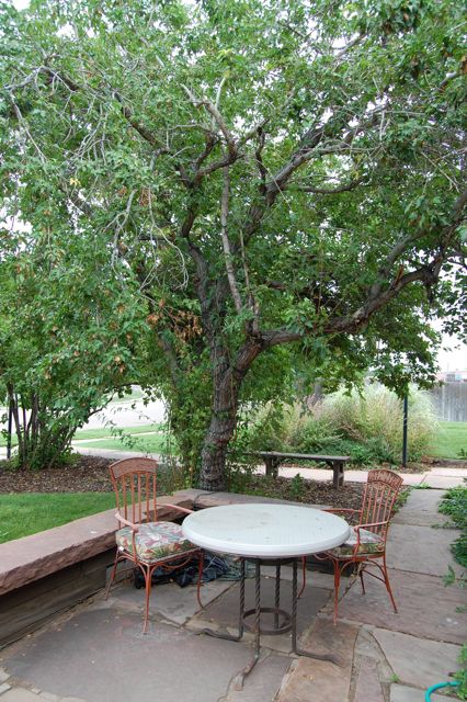 Sterling Drive Studios Boulder Colorado - Outdoor Garden Space